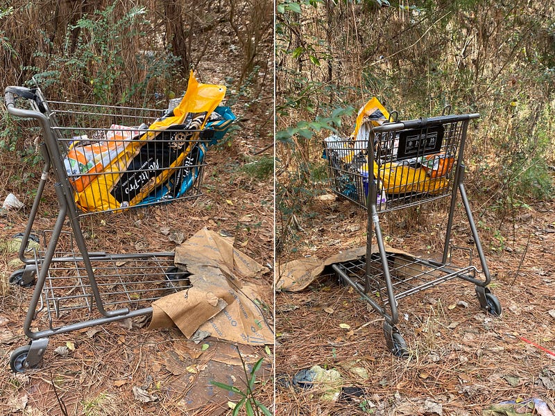 Photo of a grocery cart in the woods.